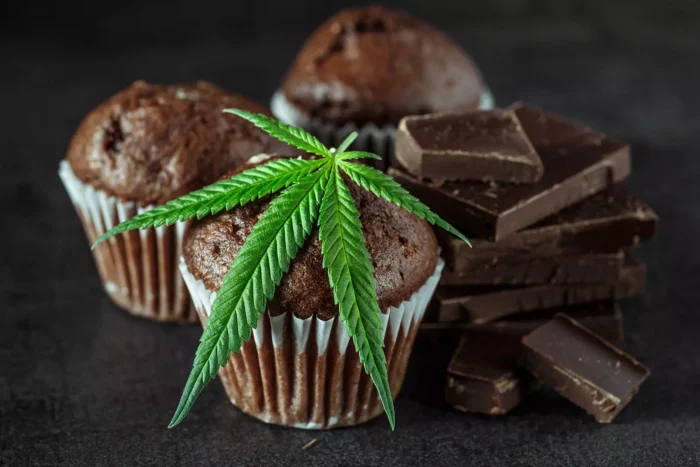 Recette muffins chocolat CBD - The Holy Holy